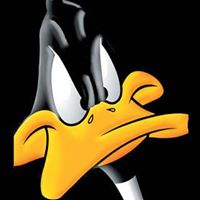 Steve Dawson Photo 31 Steve Dawson Photo 31