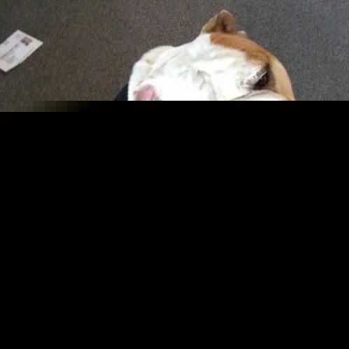 Theresa Hoffman Photo 35