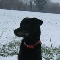 Christine Danjou Photo 3