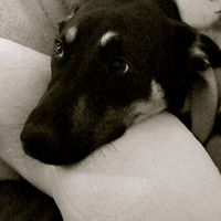 Victoria Gates Photo 37