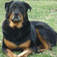 Laura Higginbotham Photo 22