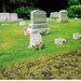 Grace Brown Photo 23
