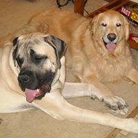 Debra Spalding Photo 10