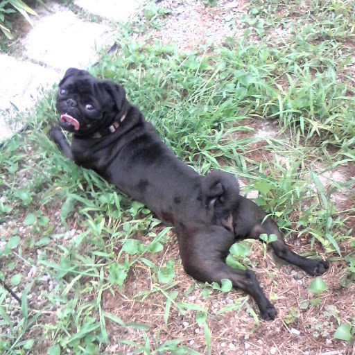 Catherine Blake Photo 21 Catherine Blake Photo 21