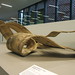 Richard Young Photo 9