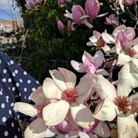 Connie Berg Photo 25