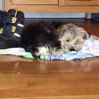 Christine Dawson Photo 23