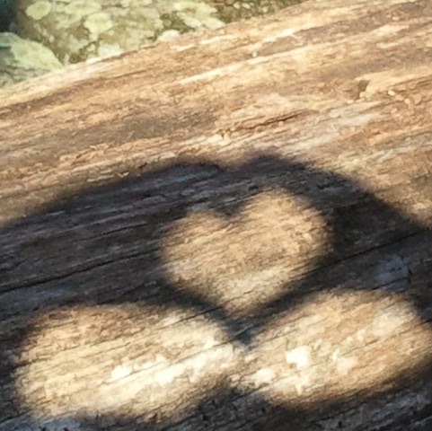 Kelly Terry Photo 44