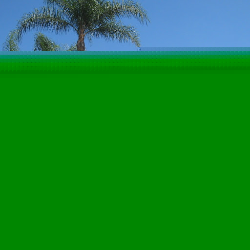 Stephanie Harder Photo 13