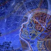 Sue Ballard Photo 14