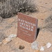 Raymond Walker Photo 16