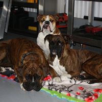 Denise Simons Photo 30