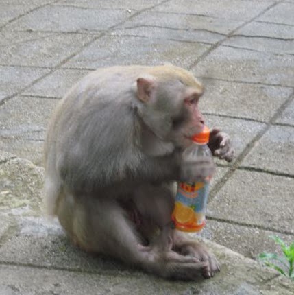 Robert Marchant Photo 15