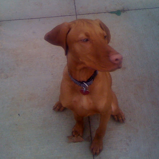 Jennifer Howell Photo 12