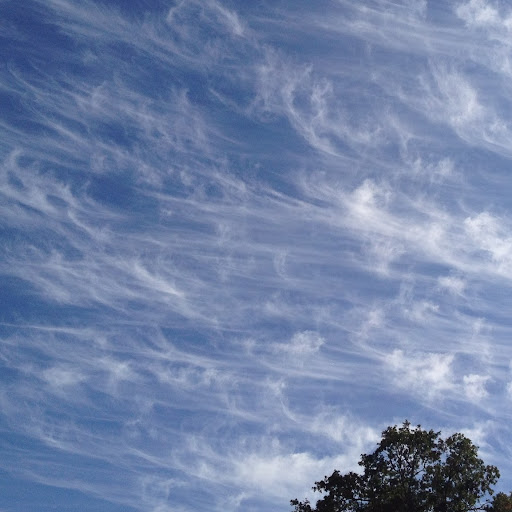 Martha Steele Photo 28