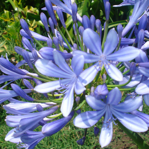 Maria Sanabria Photo 16