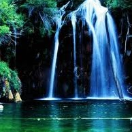 Floyd Allen Photo 36