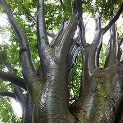 Elizabeth Garber Photo 28