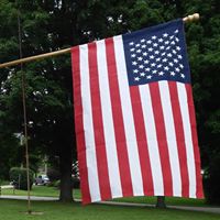 Debbie Fischer Photo 9