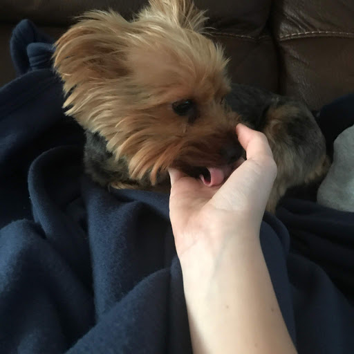 Tina Carter Photo 15