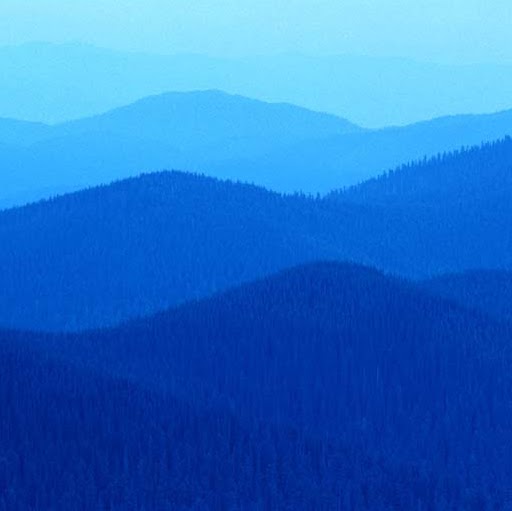 James Clevenger Photo 32