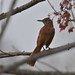 Larry Thrasher Photo 37