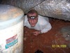 Stanley Mills Photo 17