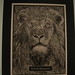 Mark Moser Photo 20