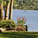 Judith Harvey Photo 34