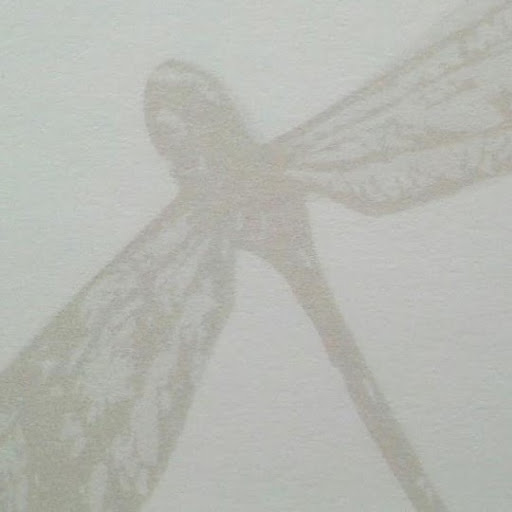 Suzanne Young Photo 7