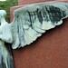 Elizabeth Schmitt Photo 23