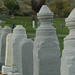 Edward Lanham Photo 17