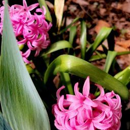 Allison Johns Photo 26