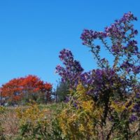 Dawn Winslow Photo 11