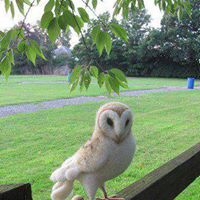 Phyllis Hardiman Photo 3