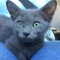 William Lew Photo 21