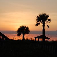 Robin Cheatham Photo 18