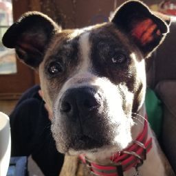 Darryl Clark Photo 20