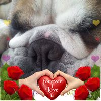 Barbara Witt Photo 15