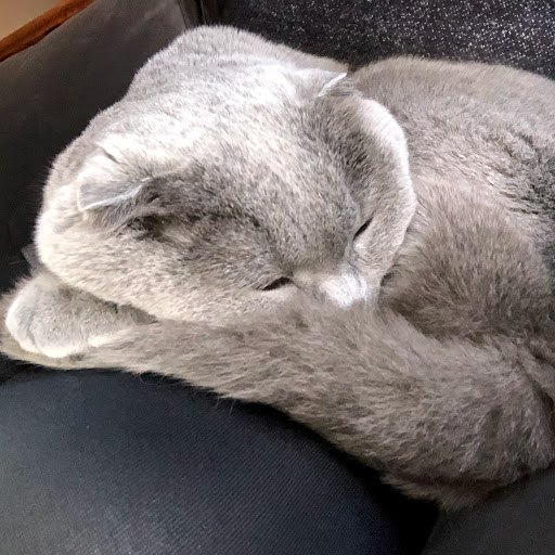 Cindy Coles Photo 11