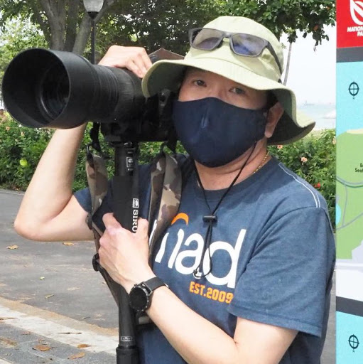 Jimmy Loh Photo 12