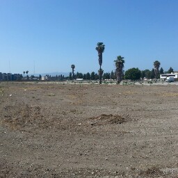 Marcel Robinson Photo 25