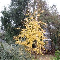 Martha Proctor Photo 20