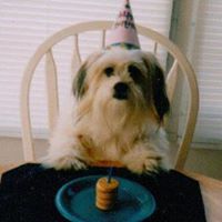 Janet Griffis Photo 5