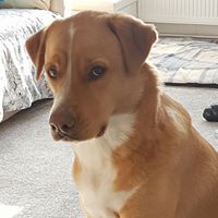 Tracy Herald Photo 2