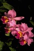 Susan Byers Photo 32