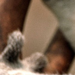 Sarah Coyne Photo 35