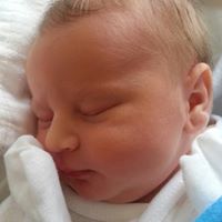 Barbara Higgins Photo 40