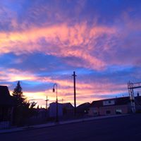 Renee Waterhouse Photo 8