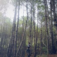 Mark Dexter Photo 44